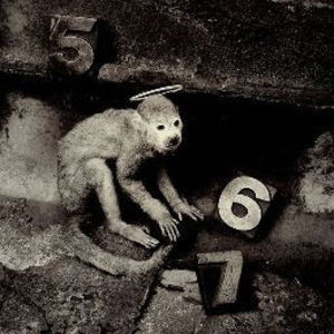 Meet your Posher, Natalia